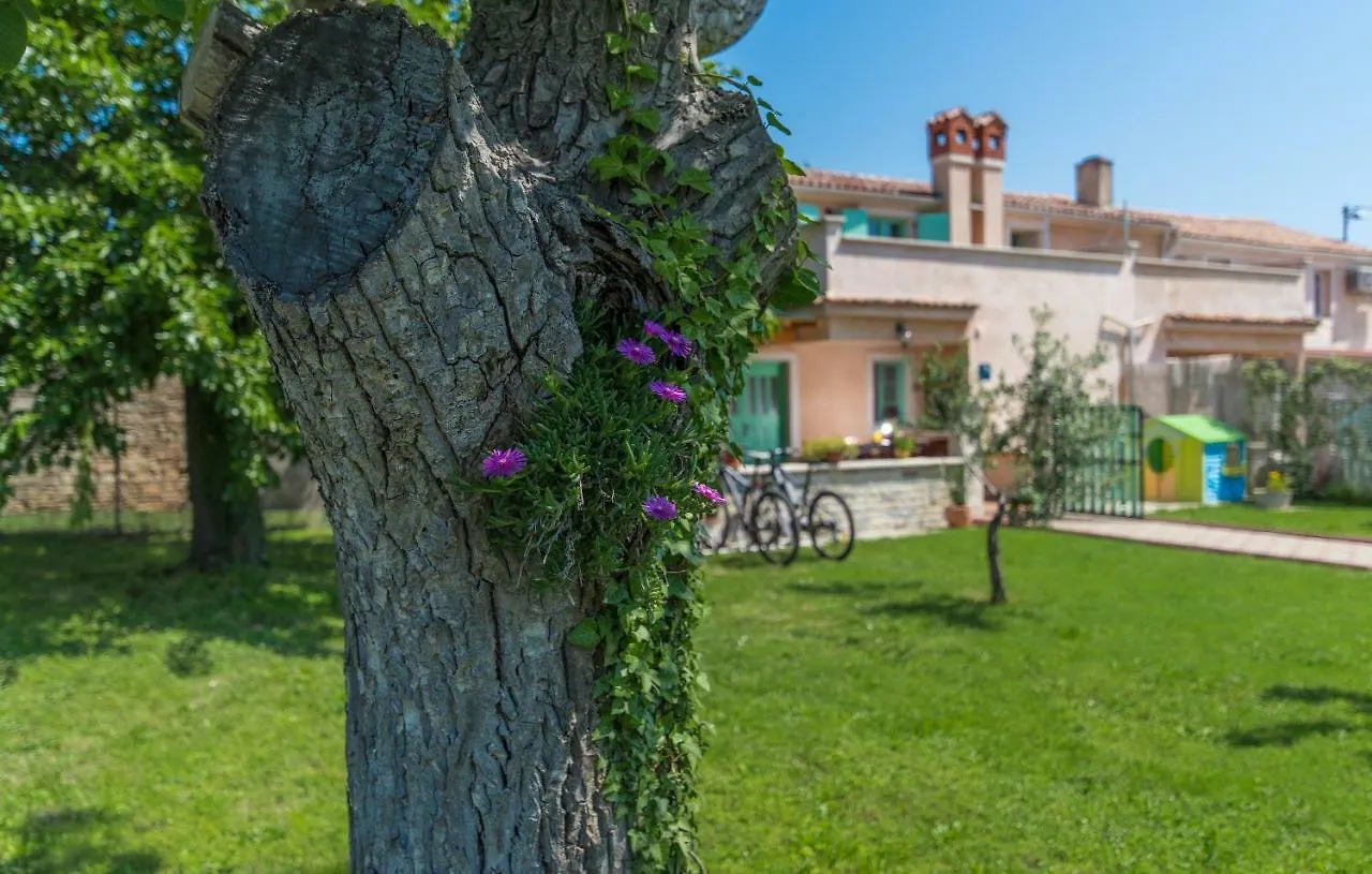 House Ulika Holiday home Sisan Croatia